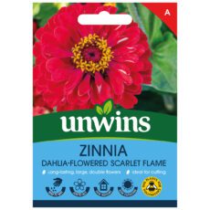 5051618027342 1 Zinnia Dahlia Scarlet Flame Seeds.jpg